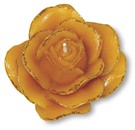 Model - vrtnica velika