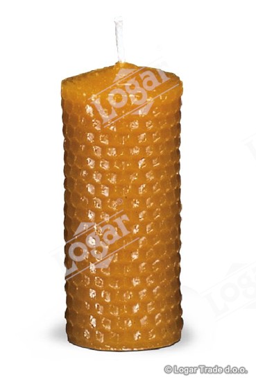 Model - satovje navadna manjša IZLOČENO - 1536