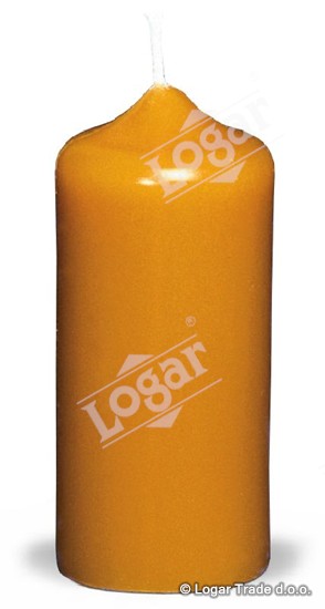 Model - navadna 3 IZLOČENO - 1540