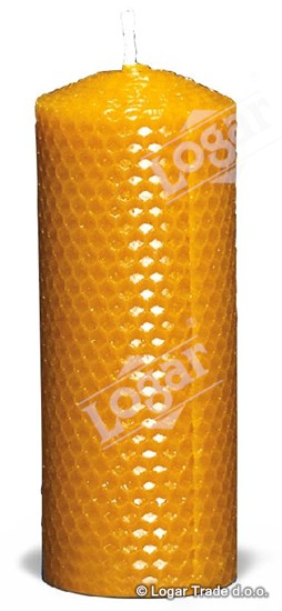 Model - sveča satovje navadna IZLOČENO - 1758