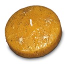 Model - zvezdica plavajoča