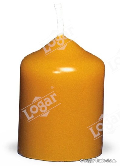 Model - navadna 1 IZLOČENO - 1889