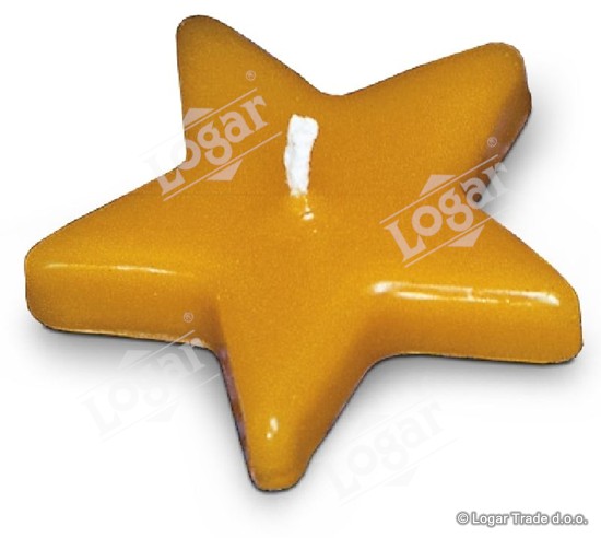 Model - zvezda plavajoča - 1893