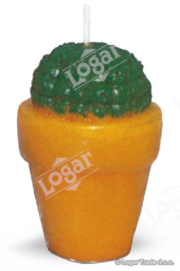 Model - kaktus - 1914